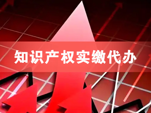 仪征知识产权实缴资本代办